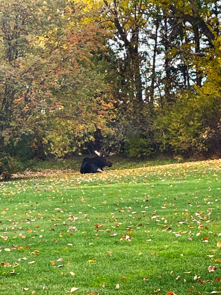 Photo of Fort In View Golf Course