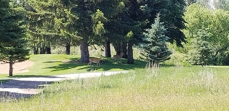Photo of Magrath Golf Club