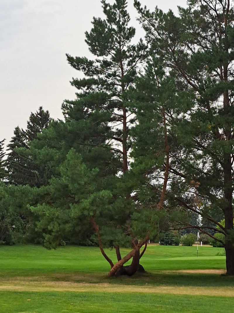 Photo of Meadows Executive Par 3 Golf Course