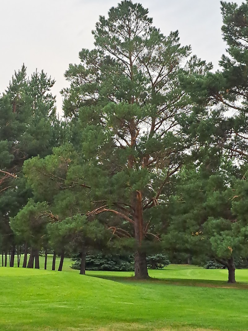 Photo of Meadows Executive Par 3 Golf Course