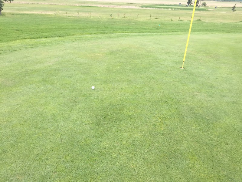 Photo of Meadowview Golf & Country Club