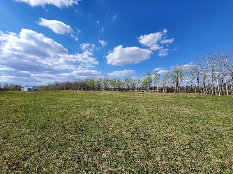 Photo of Northern Bear Golf Course