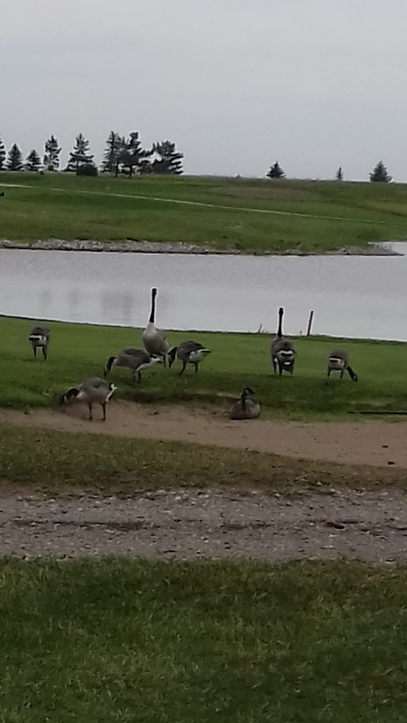 Photo of Picture Butte Golf Club