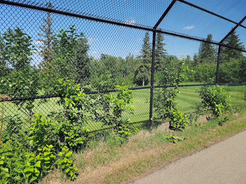 Photo of Raven Crest Golf & Country Club
