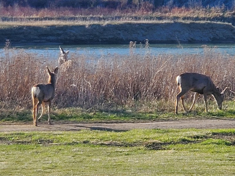 Photo of River Ridge Golf Club