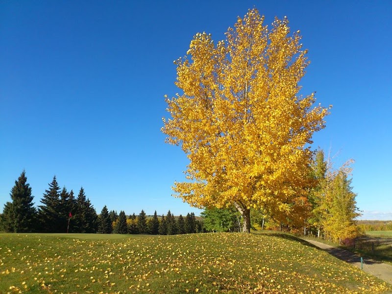 Photo of Spirit Creek Golf & RV Park