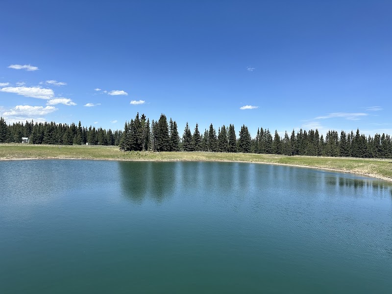 Photo of The Coyote Golf Club