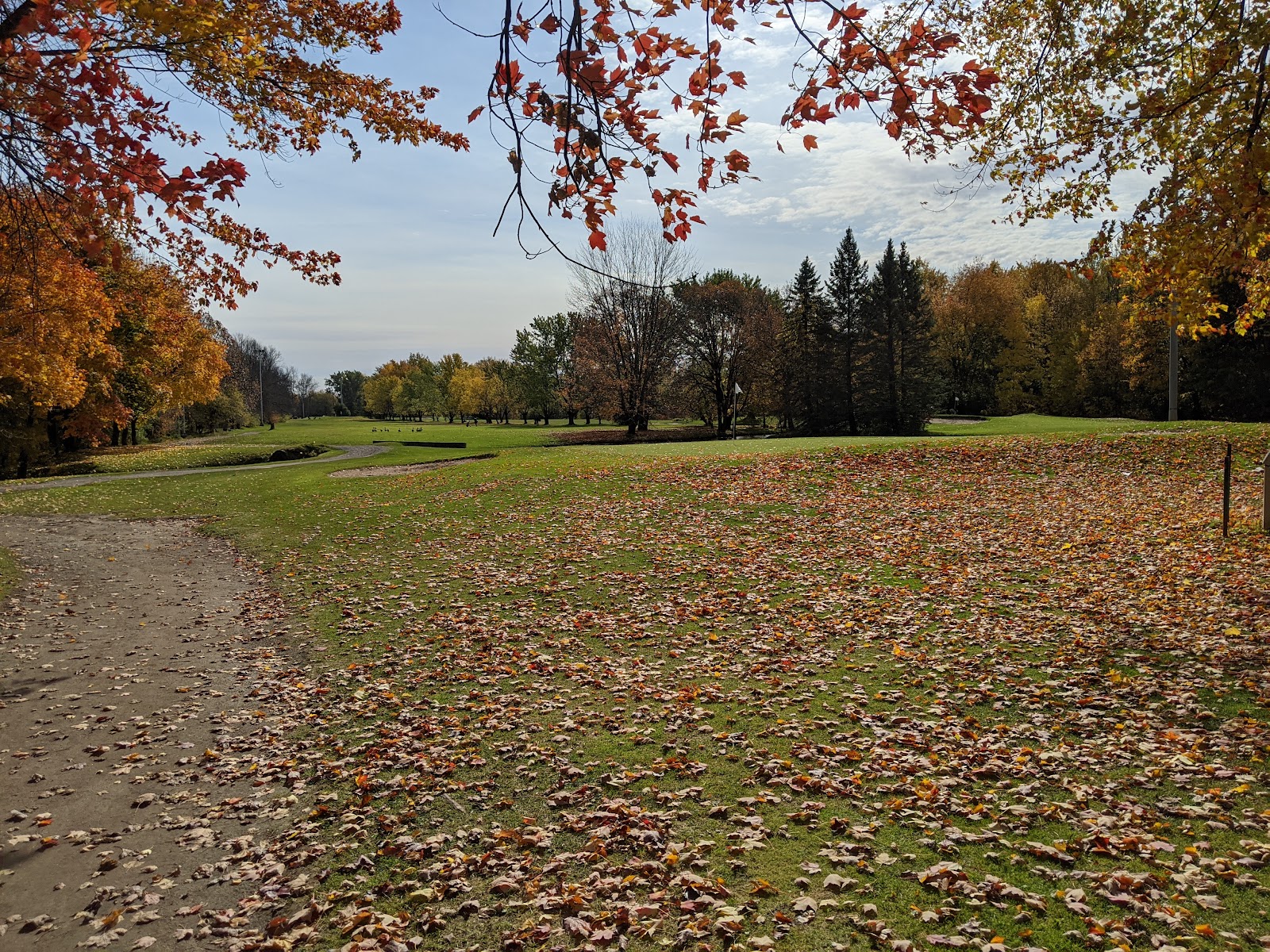 Photo of Golf UFO