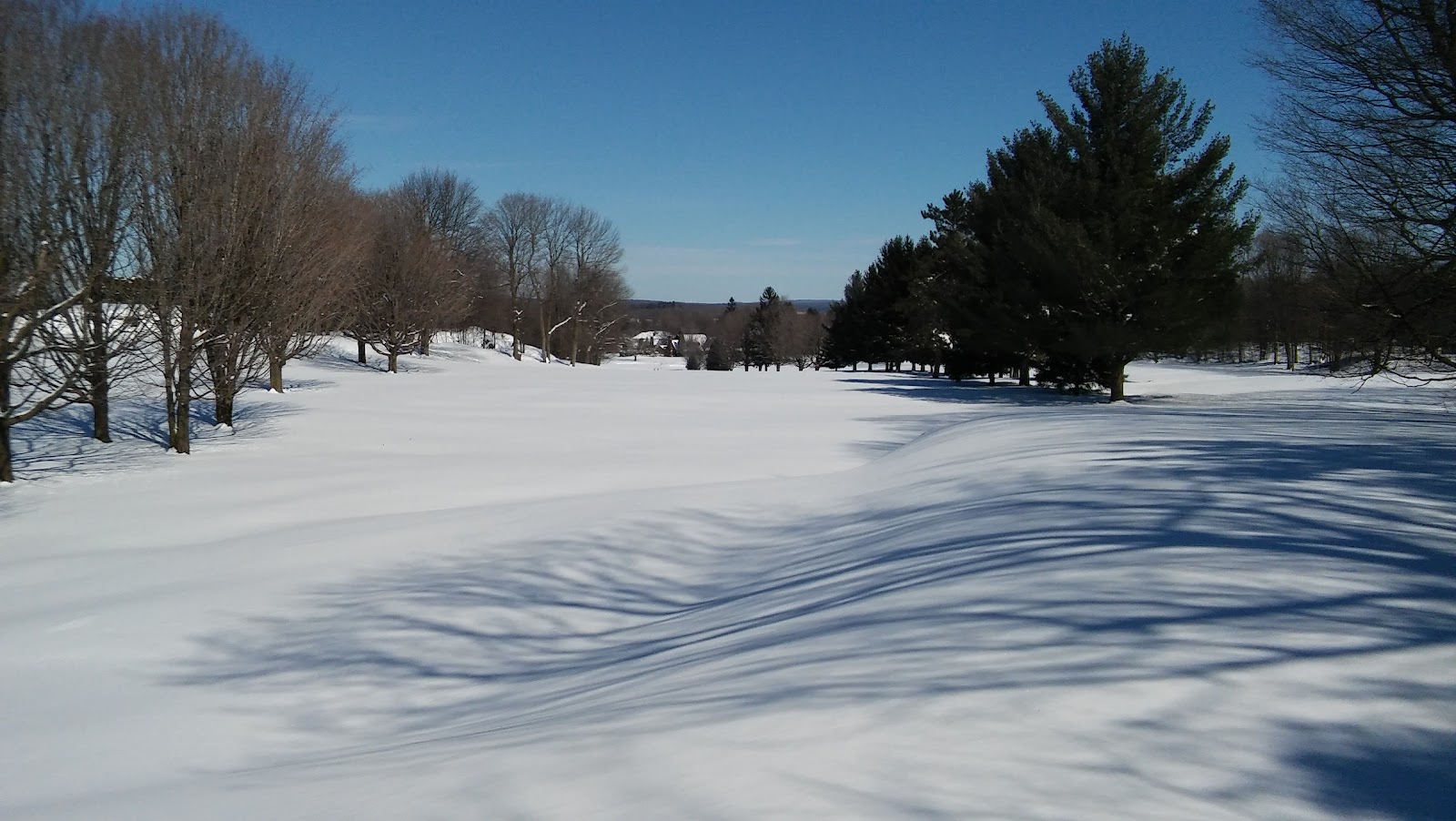 Photo of Club De Golf Miner