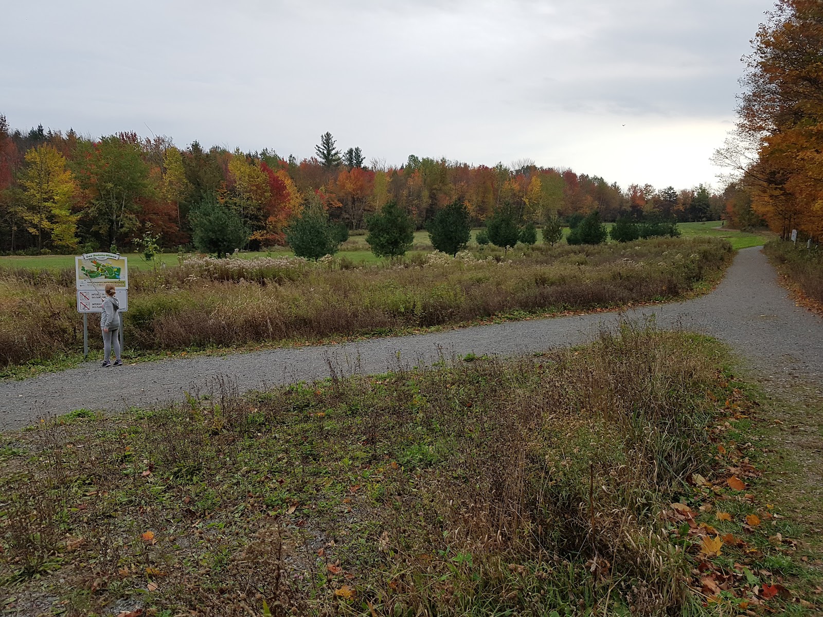 Photo of Club De Golf Miner