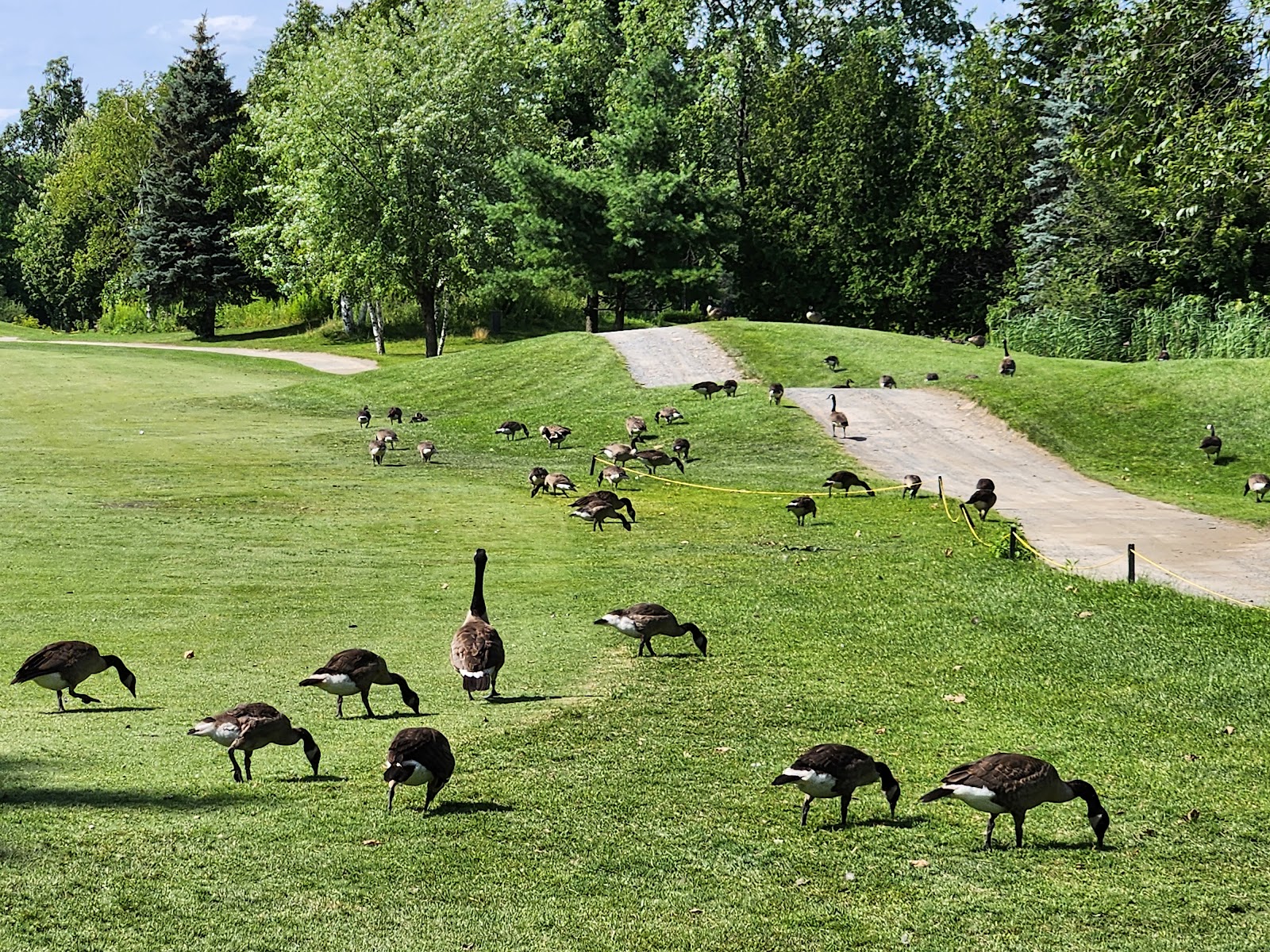 Photo of Club De Golf Ste-Rose