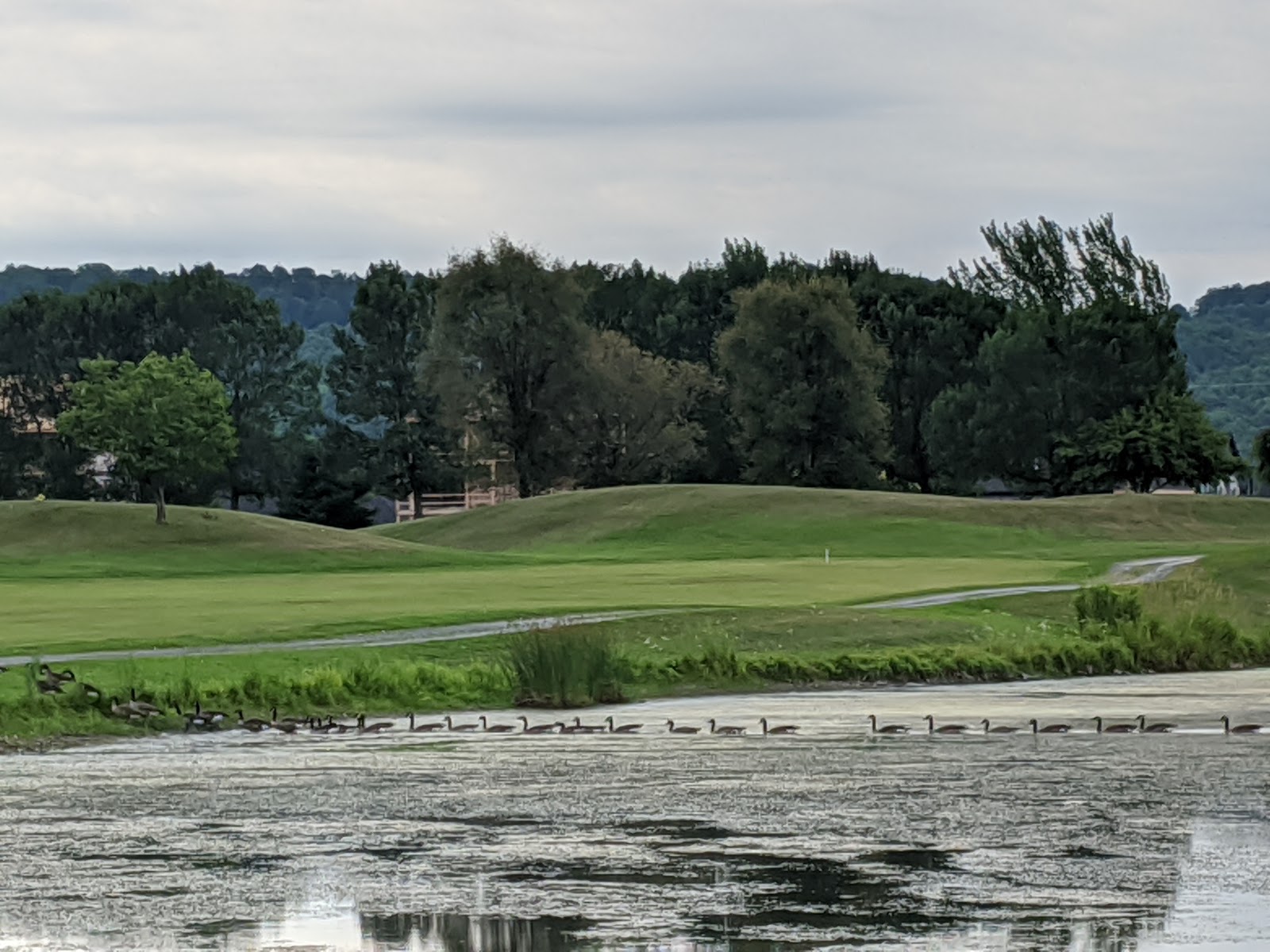 Photo of La Cité du Golf des Lacs