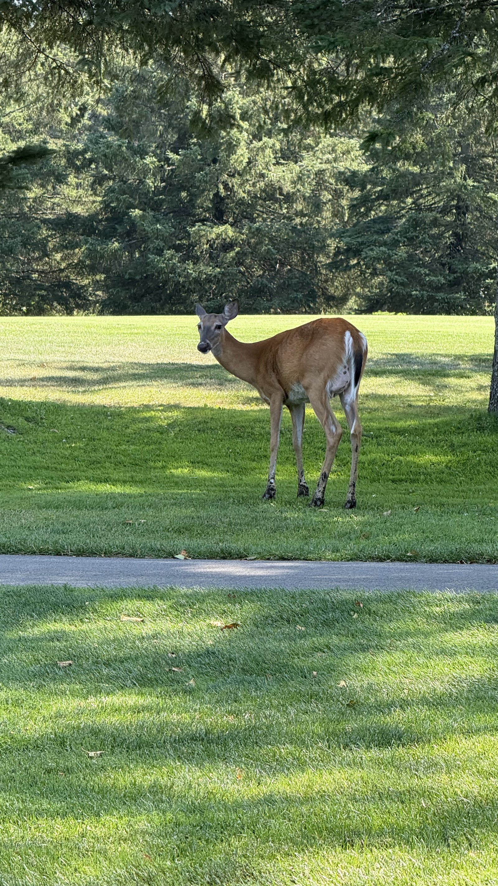Photo of Club de Golf Val-Morin