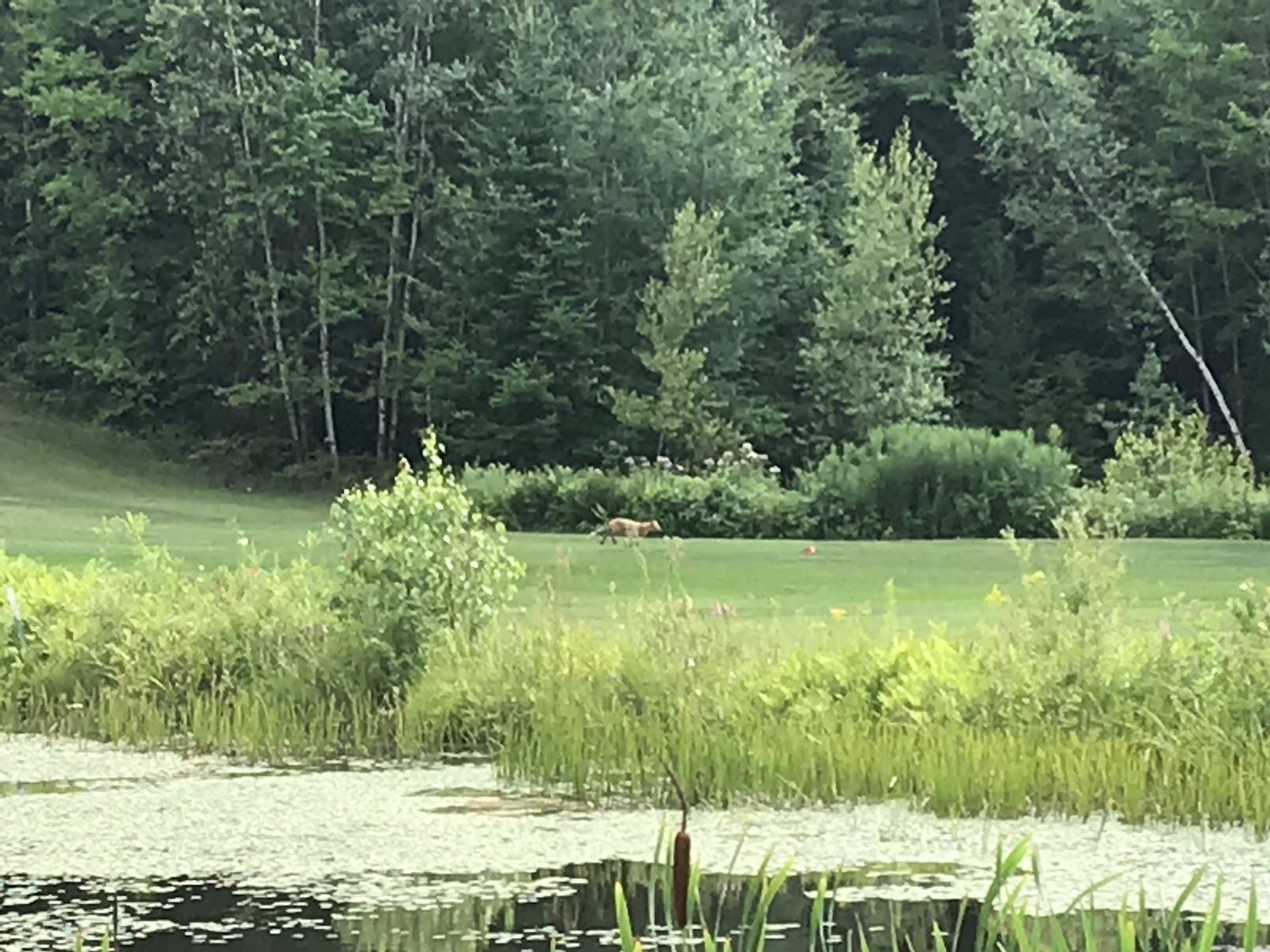 Photo of Capri Golf Club