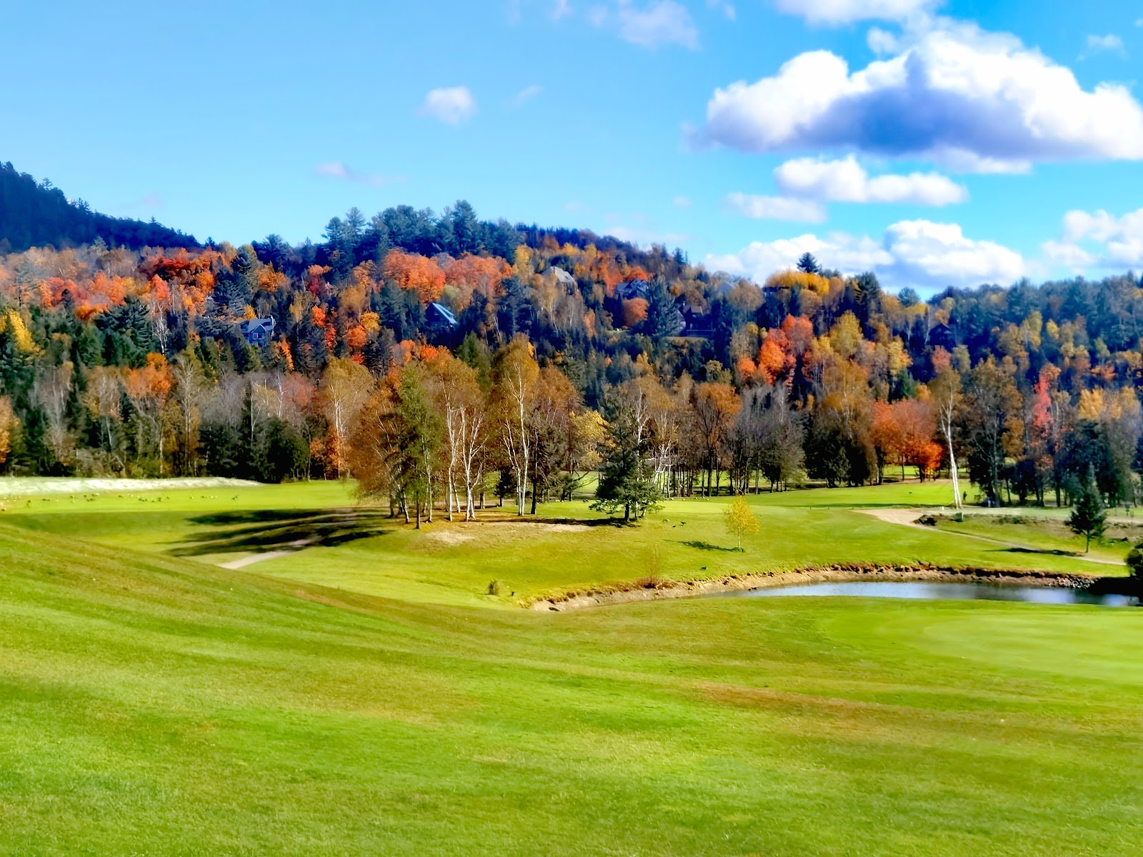 Club De Golf Chantecler Ste-Adèle Ltée