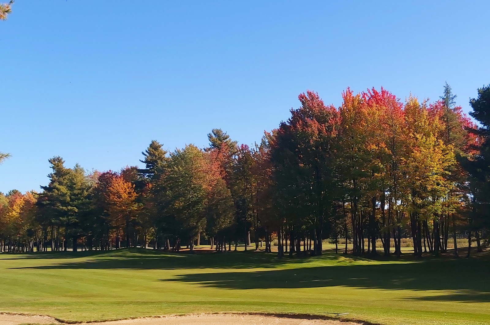 Photo of Golf 4D