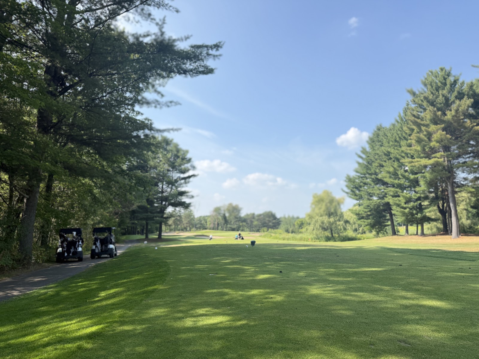 Photo of Golf 4D