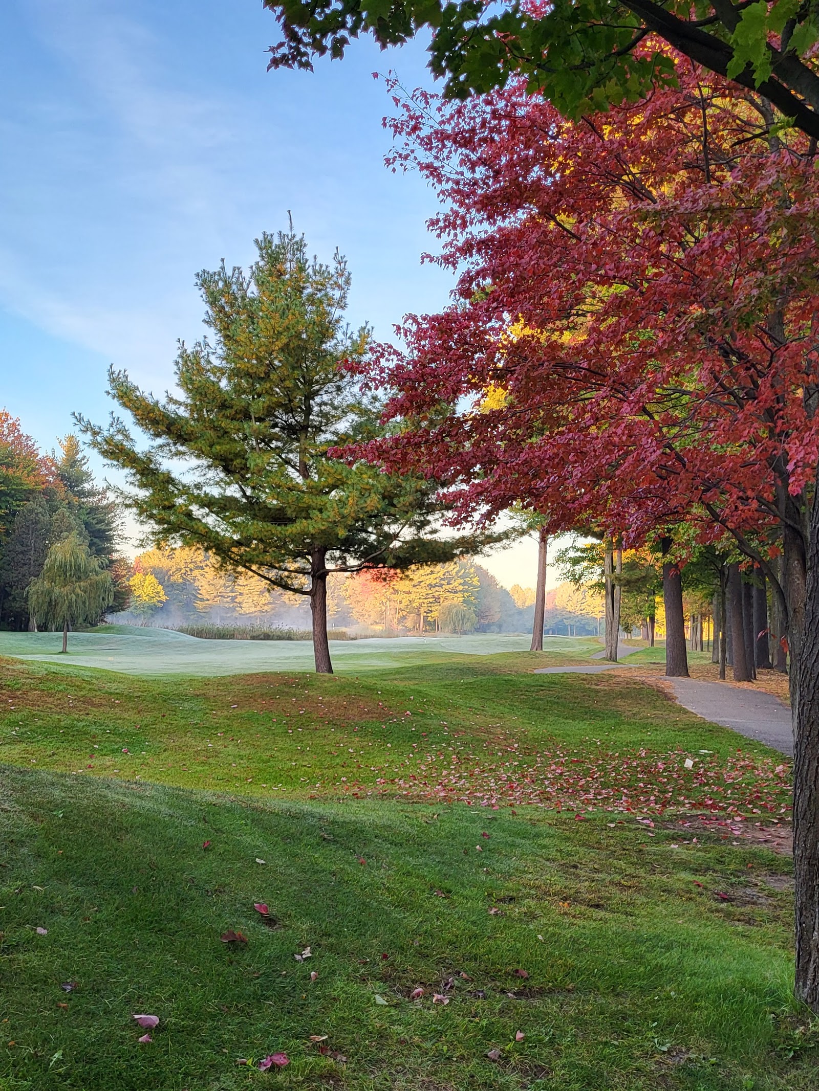 Photo of Golf 4D