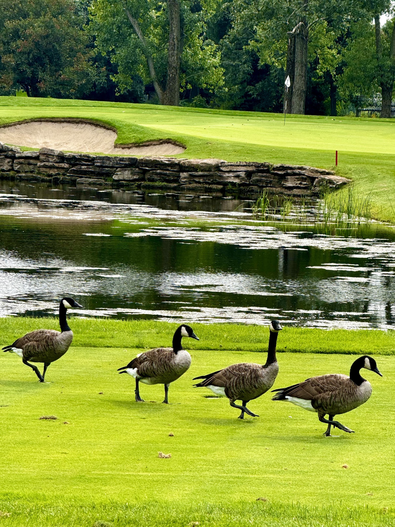 Photo of Club De Golf Boucherville
