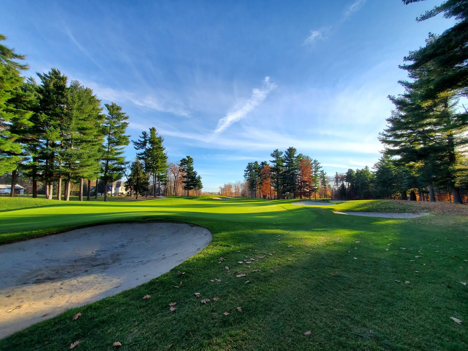 Photo of Golf Falcon