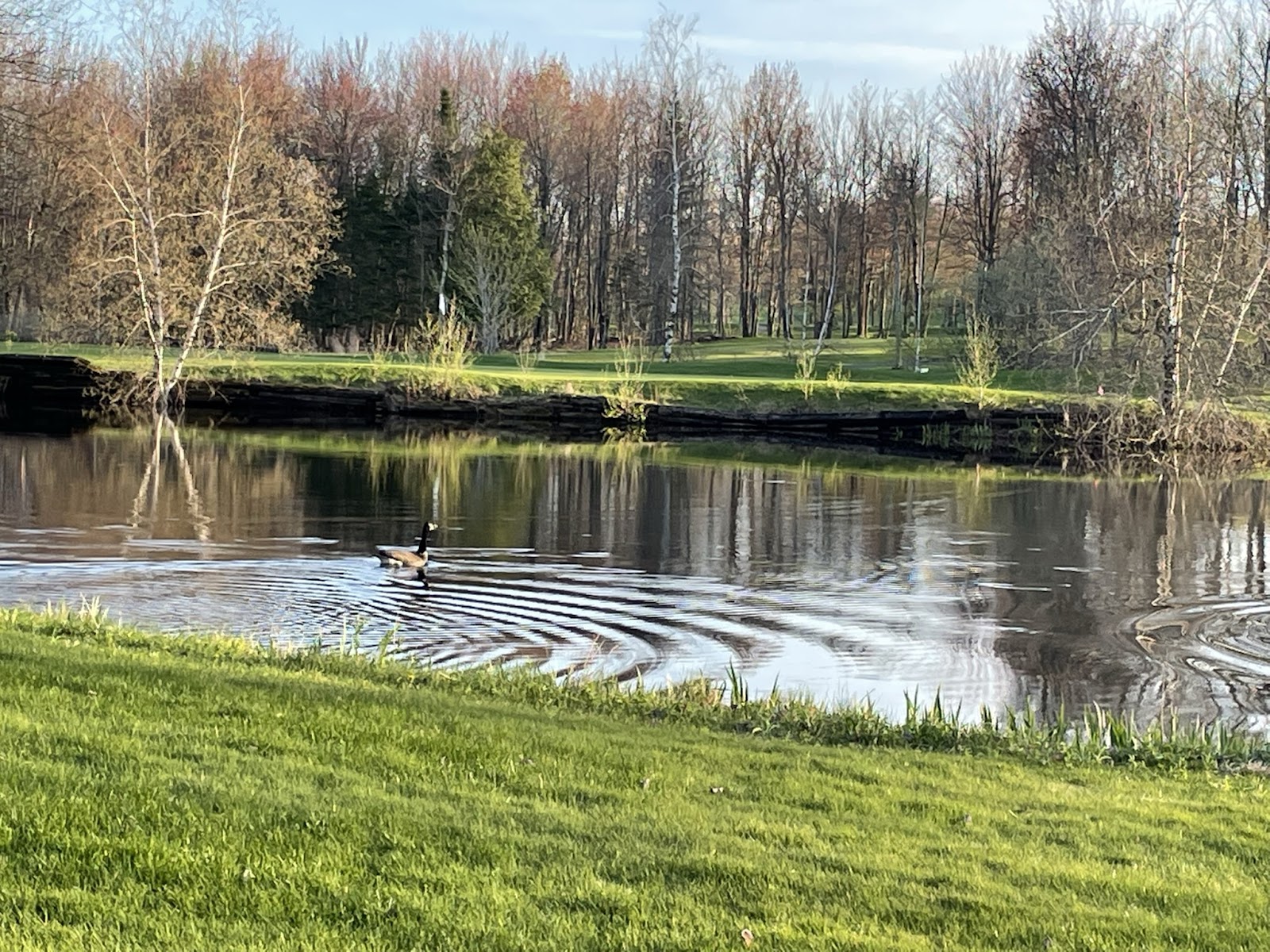 Photo of Club De Golf Le Rocher De Roxton Pond