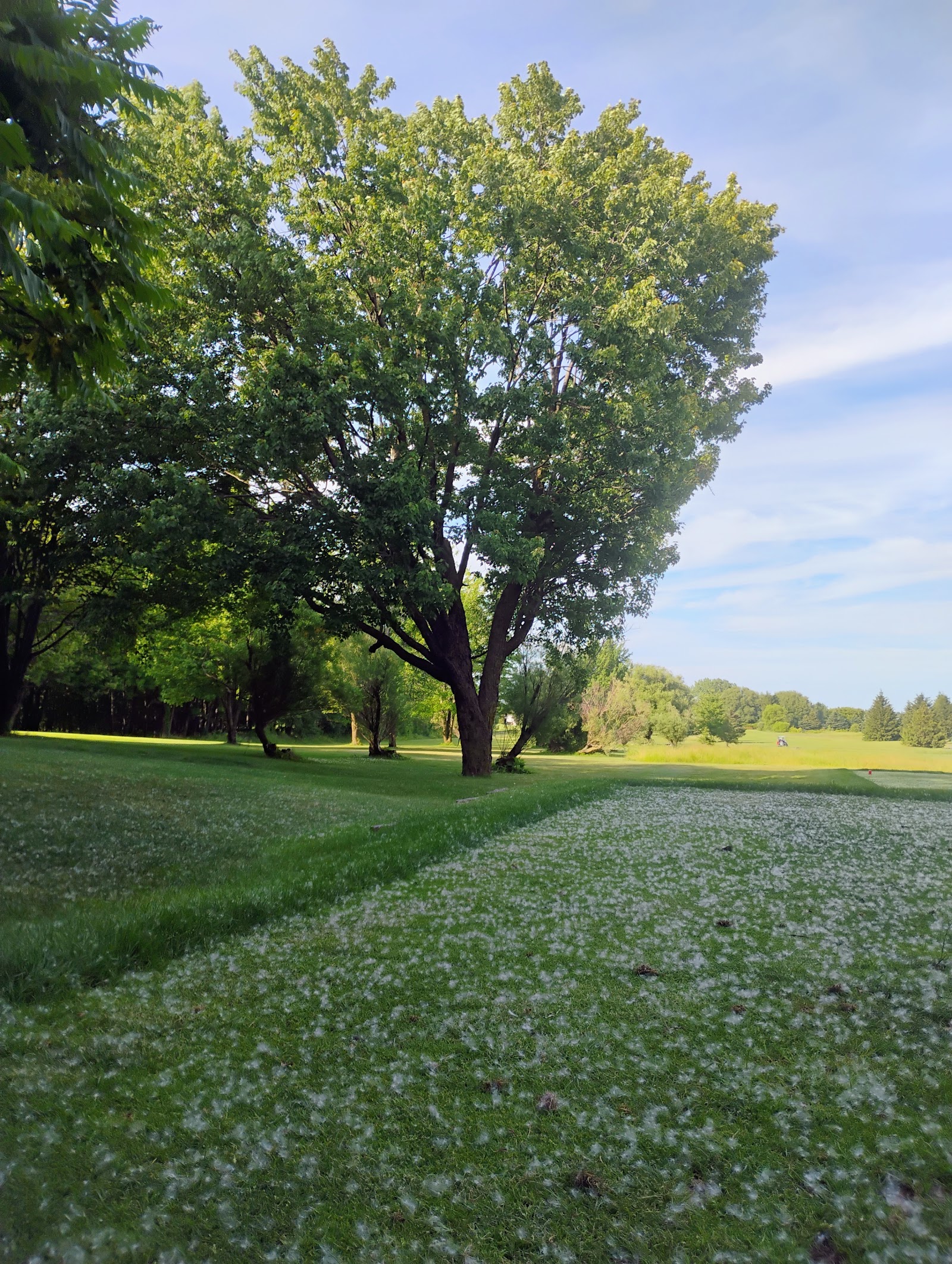 Photo of Club De Golf Saint Simon