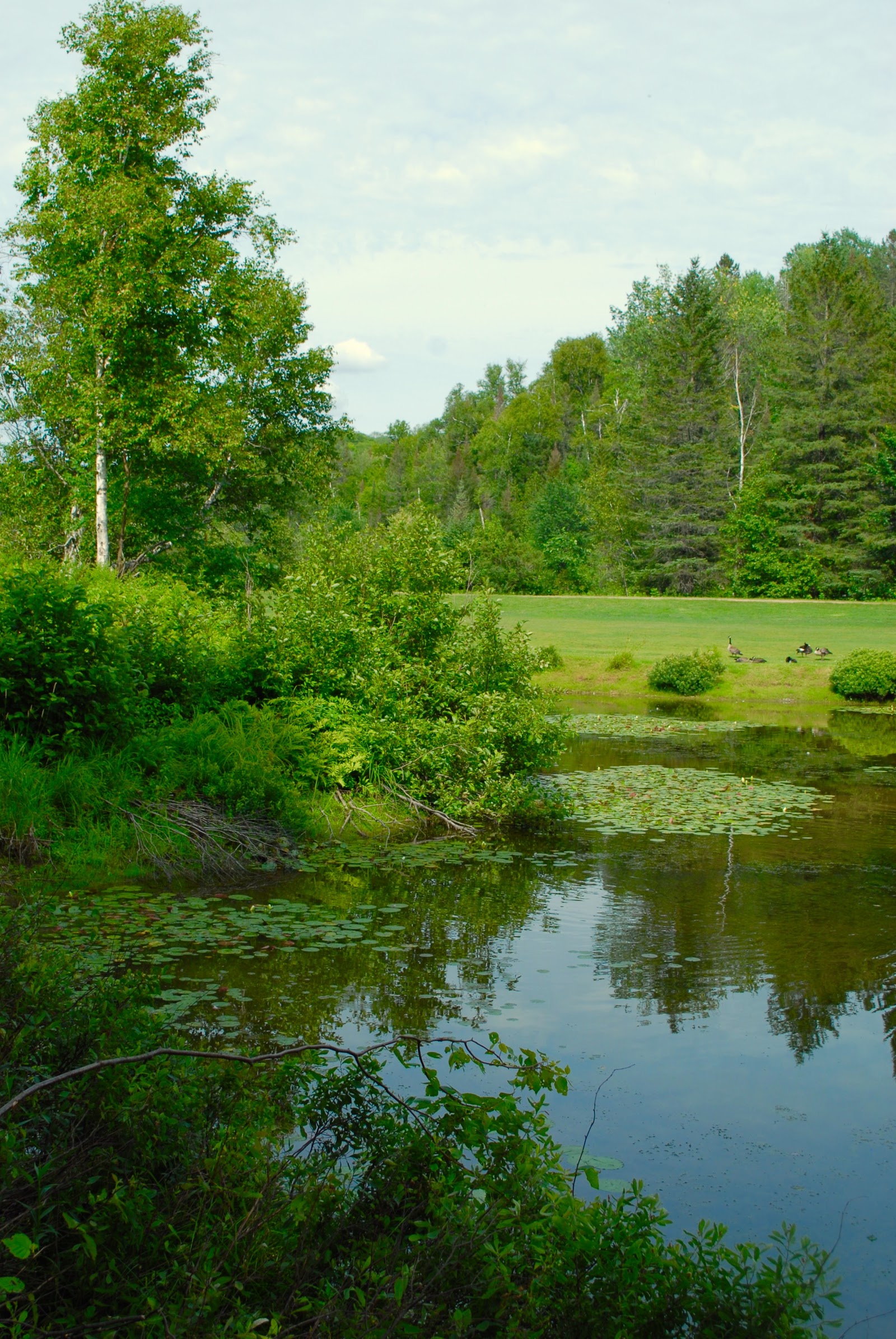 Photo of GOLF DE LA VALLÉE ST-ADÈLE