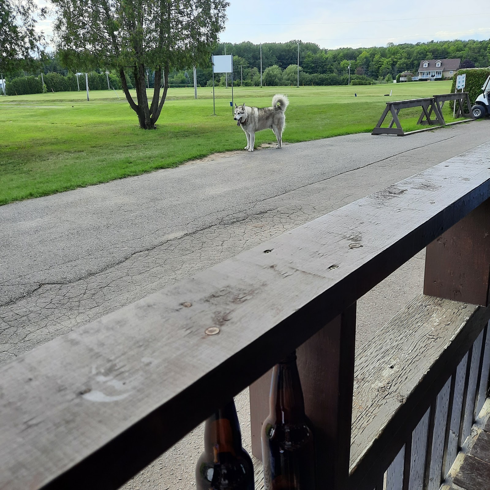 Photo of Lafleur Golf