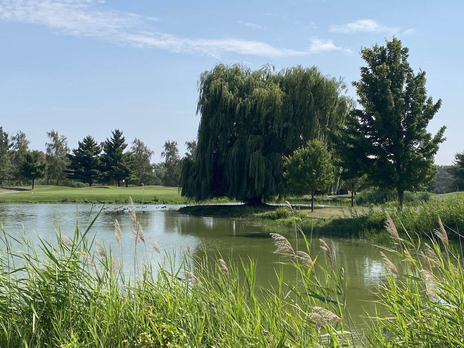 Photo of Golf des Iles