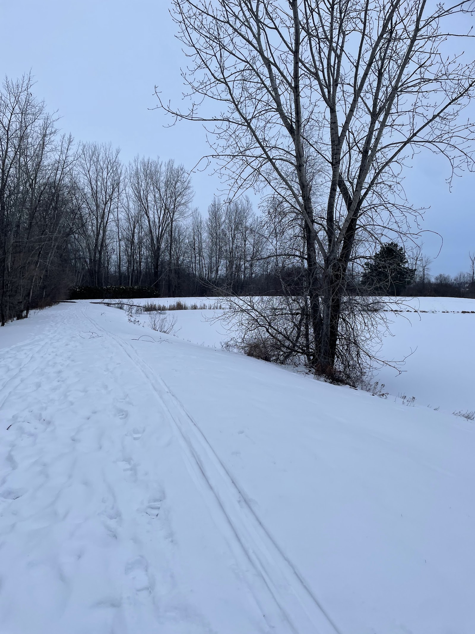 Photo of Club de Golf les Légendes