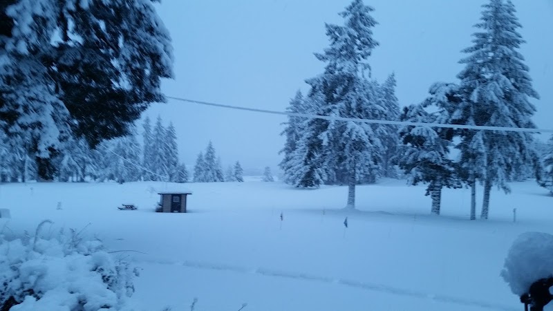Photo of Alberni Golf Club
