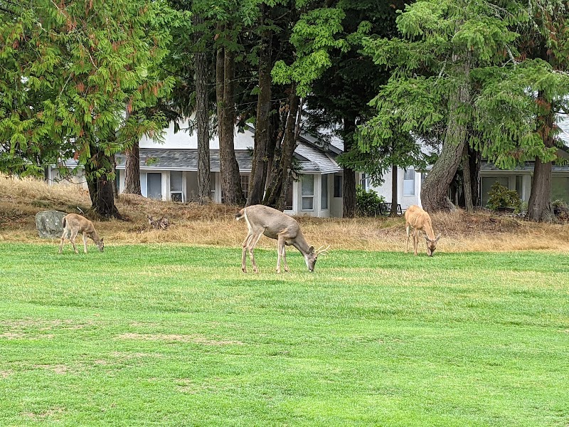 Photo of Arbutus Ridge Golf Club and Restaurant