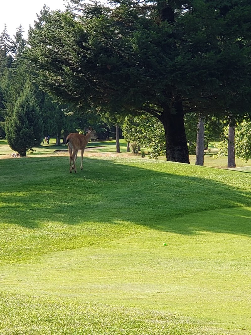 Photo of Arrowsmith Golf