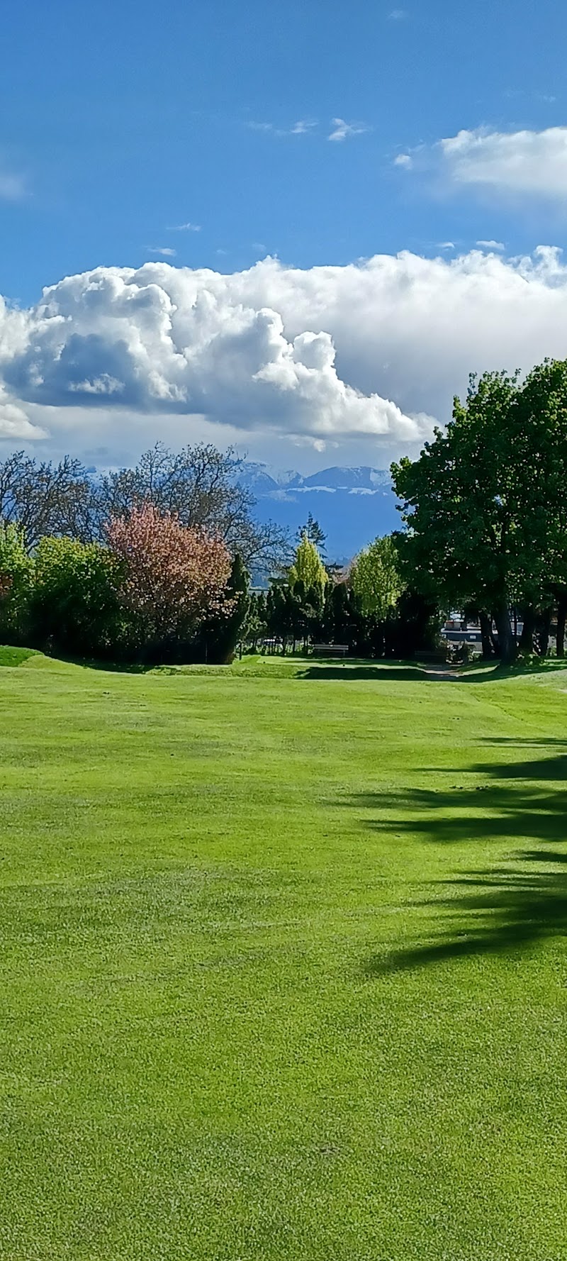 Photo of Comox Golf Club