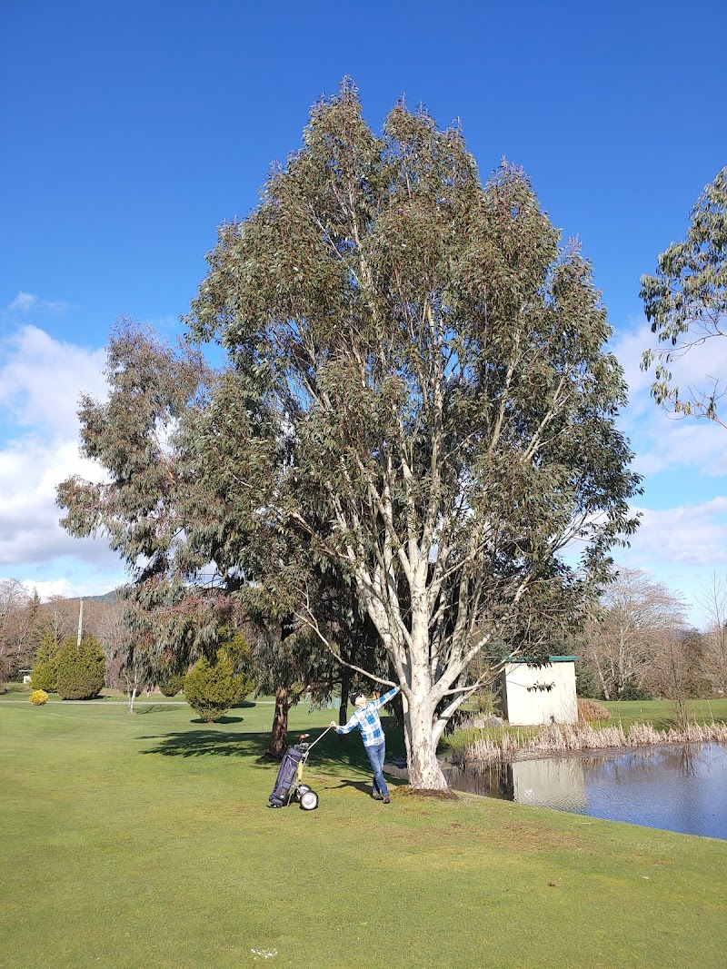 Photo of DeMamiel Creek Golf Course