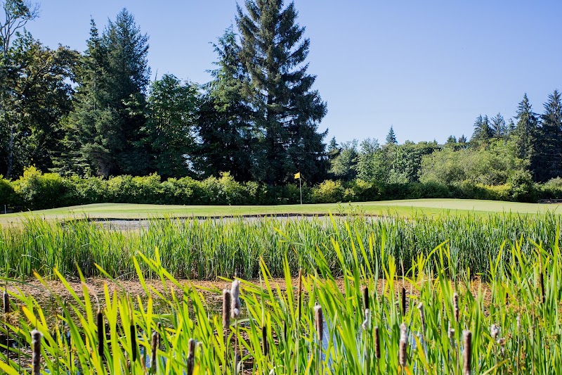 Photo of DeMamiel Creek Golf Course