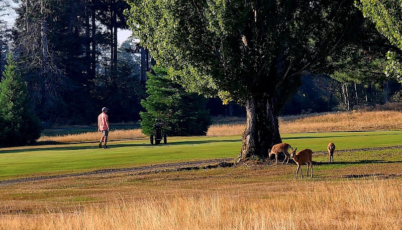 Photo of Glacier Greens Golf Club