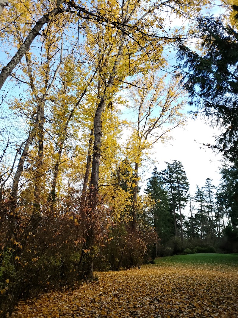 Photo of Henderson Par 3