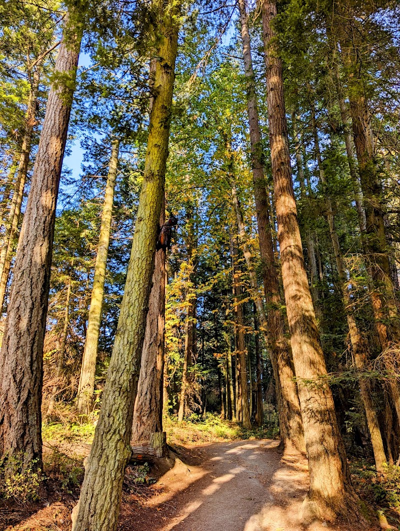 Photo of Juan de Fuca Golf Course