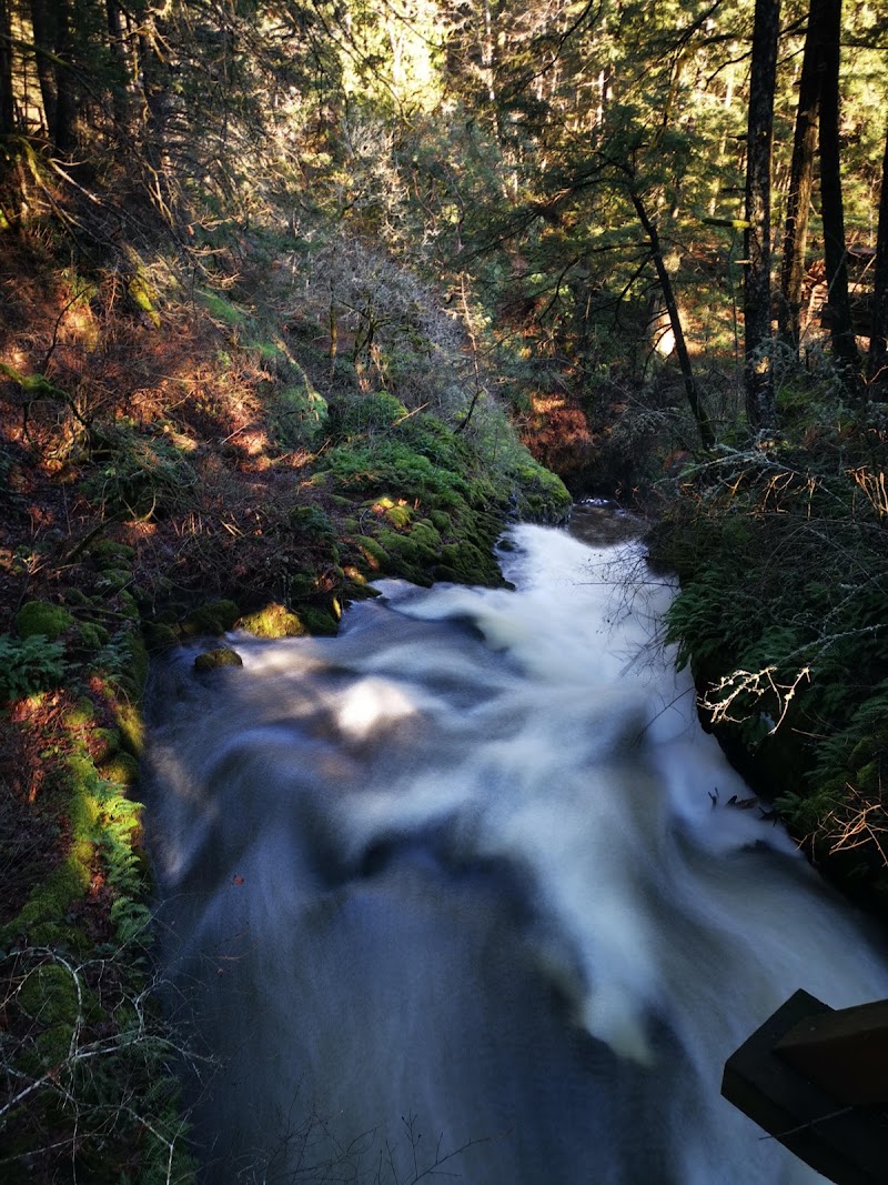 Photo of Metchosin Golf Course