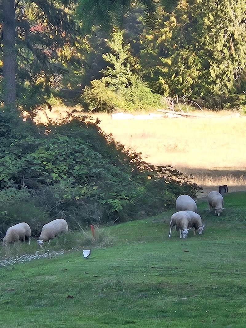 Photo of Pender Island Golf & Country Club