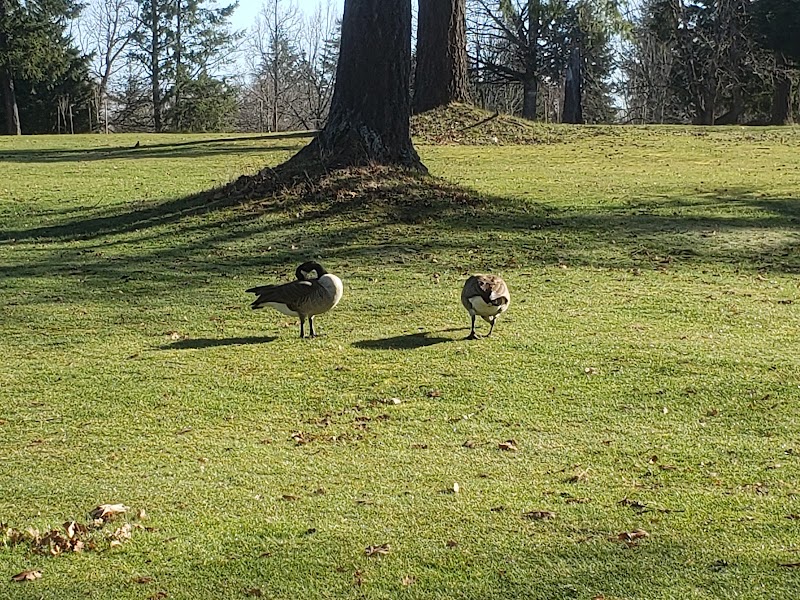 Photo of Pryde Vista Golf Course