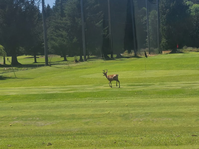 Photo of Storey Creek Golf Club