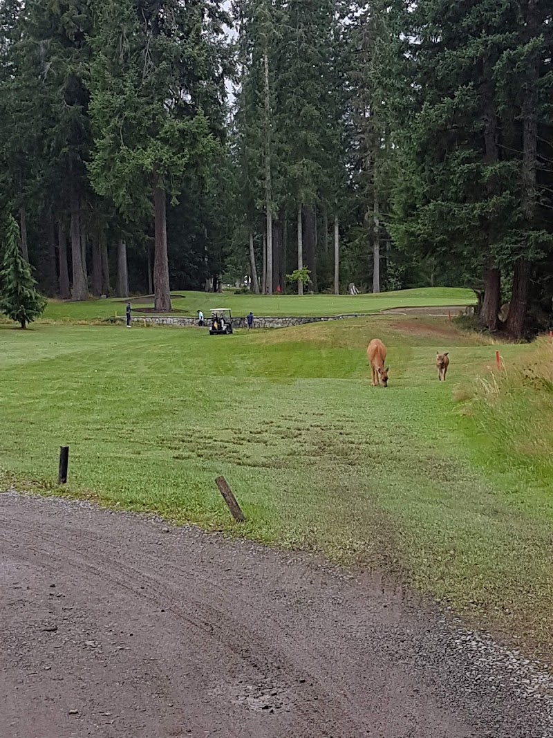 Photo of Storey Creek Golf Club