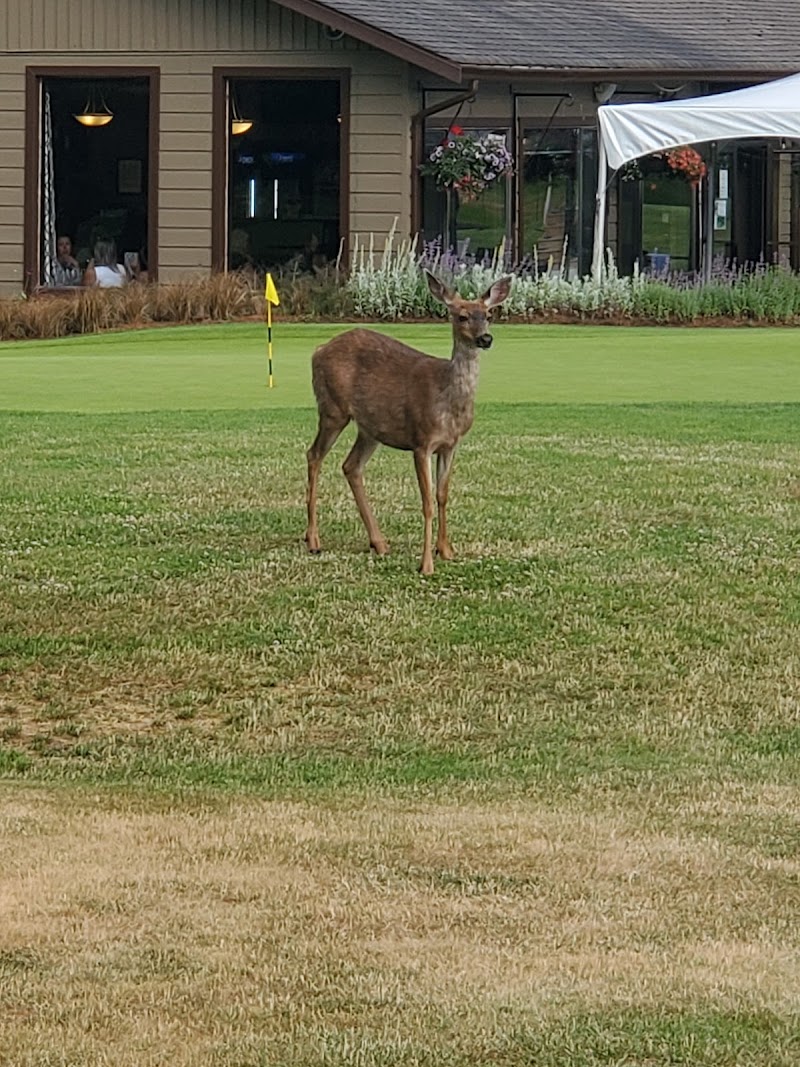 Photo of Storey Creek Golf Club