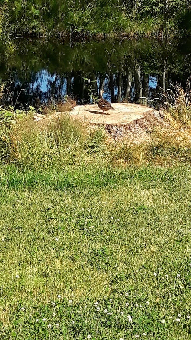 Photo of Sunnydale Golf & Country Club