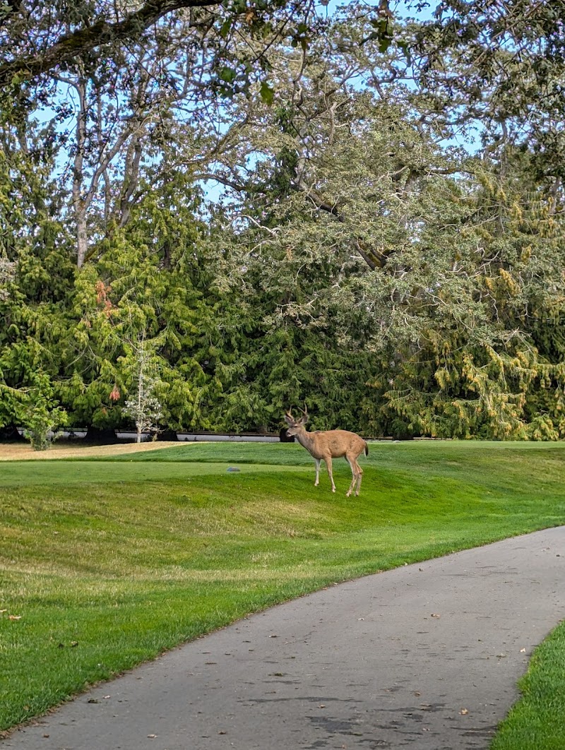 Photo of Uplands Golf Club