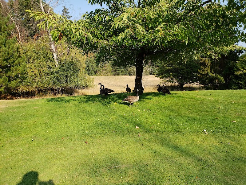 Photo of Victoria Golf Centre