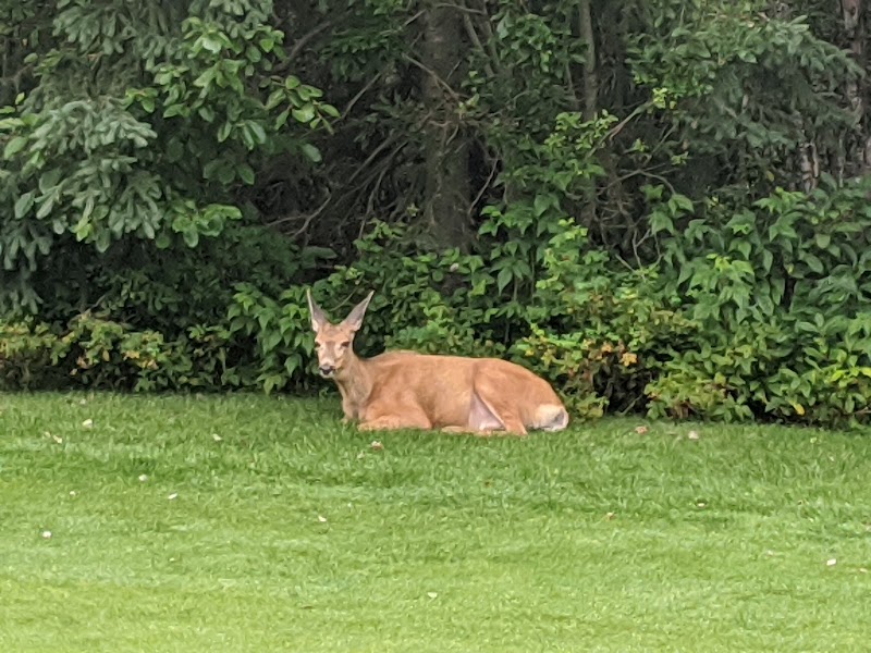 Photo of Alder Hills Golf Course