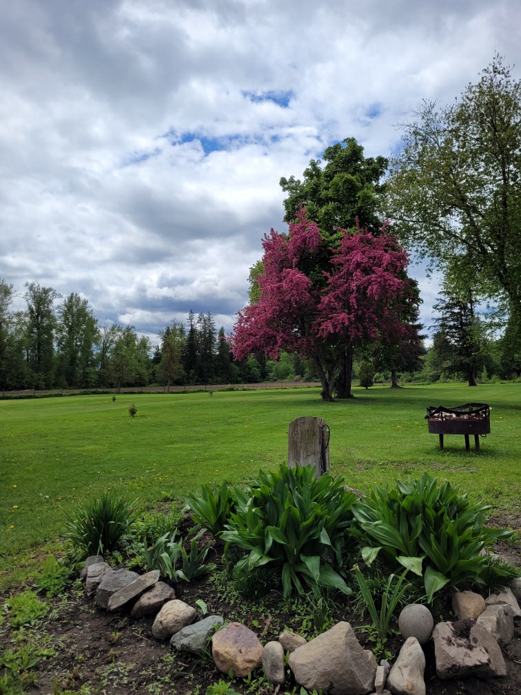 Photo of Birchdale Golf Course & Birchdale Cafe